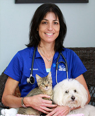 Pet Calls Animal Hospital - Veterinary Clinic And Housecalls Serving Lake  Worth, Boynton Beach, Delray, Palm Beach, Wellington, Florida :: Meet Our  Team
