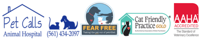 Home | Veterinarian in Lake Worth, FL | Pet Calls Animal Hospital